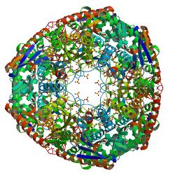 Crystal structure 1E3P.jpg