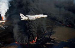 F-14A VF-114 over burning Kuwaiti oil well 1991.JPEG