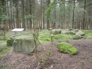 Großsteingrab Reinecke.JPG