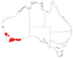 Hakea obliqua DistMap.png