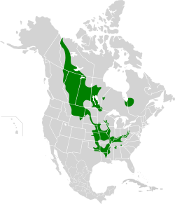 Hiodon alosoides map.svg