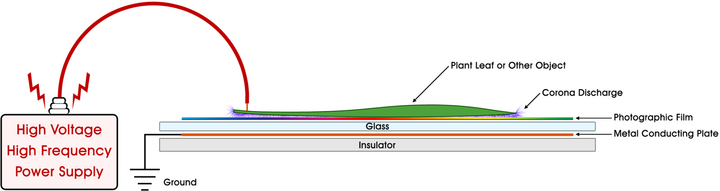 Typical Kirlian photography setup (cross-section)