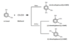 M-cresol reaction with methanol.png