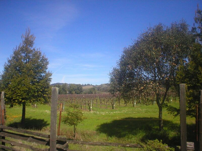 File:Mendocino winery.jpg