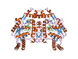 PDB 1dm7 EBI.jpg