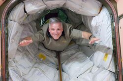 STS134 Greg Johnson.jpg