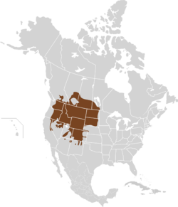 Thomomys talpoides map.svg