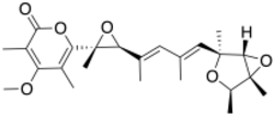 Verrucosidin Structure.svg