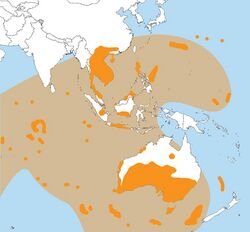 Australasian strewnfield.jpg