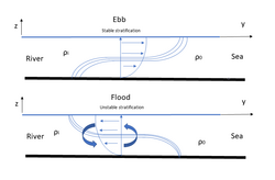Baroclininc schematic tidal straining.png