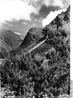 Bundesarchiv Bild 135-S-05-06-08, Tibetexpedition, Landschaftsaufnahme.jpg