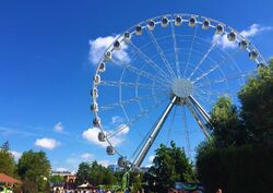 Ferris wheel in the Park Divo Ostrov, St. Petersburg.jpg