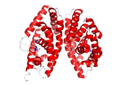 LXRα-RXR whole structure.png