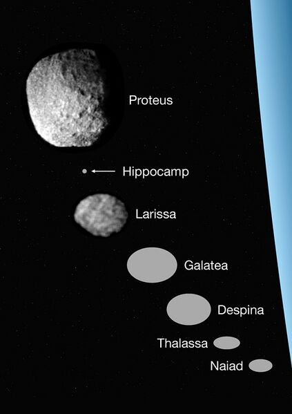 File:Neptune inner moons size comparison.jpg