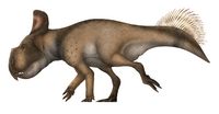 Protoceratops andrewsi Restoration.png