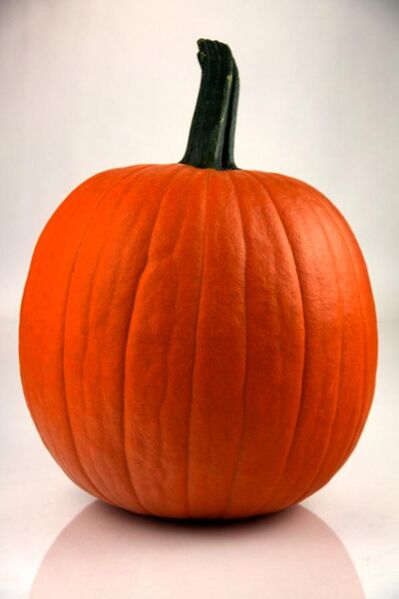 File:Pumpkin 2 - Evan Swigart.jpg