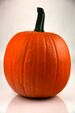 Pumpkin 2 - Evan Swigart.jpg