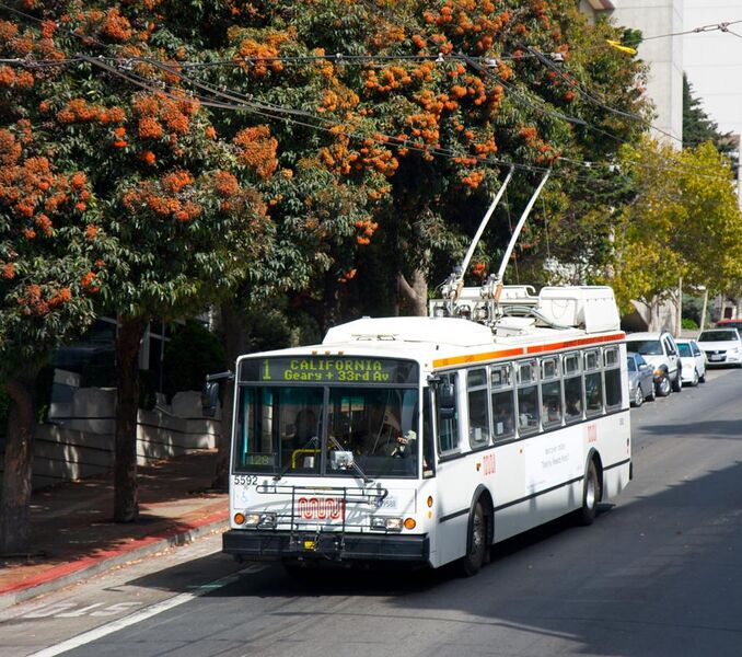 File:SanFran 14TrSF trolleybus 5592 (cropped).jpg