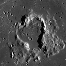 Wolf (LRO).png