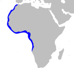 Brachydeuterus auritus mapa.svg