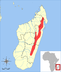 Brachyuromys ramirohitra range map.svg