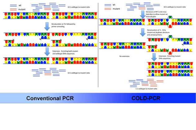 An overview of COLD-PCR compared to regular PCR.