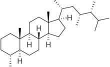 Skeletal formula of dinosterane
