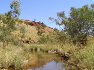 Hamersley Range, Pilbara Region, Western Australia.JPG