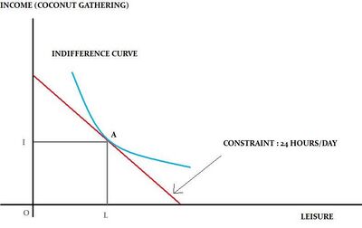 The Robinson Crusoe economy framework