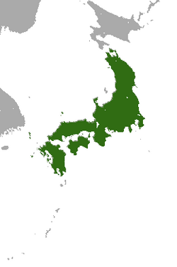 Japanese Shrew Mole area.png