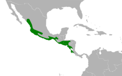 Morococcyx erythropygus map.svg