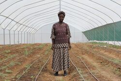 Mothers grow together to improve food security in Kenya (6220171204).jpg