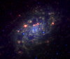NGC2403 3.6 8.0 24 microns spitzer.png