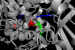 Nitrilase Active Site.png