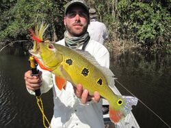 Pesca Esportiva na Amazônia 16.JPG