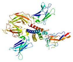 Protein IL2RG PDB 2b5i.png