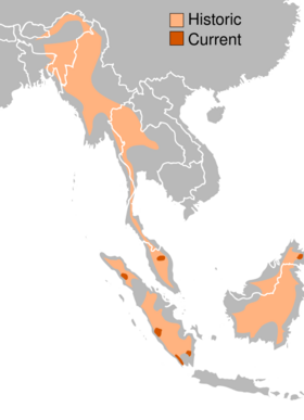 Sumatran Rhino range.svg