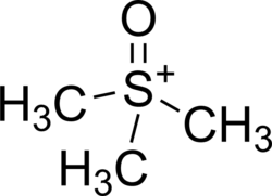 Trimethylsulfoxonium.png