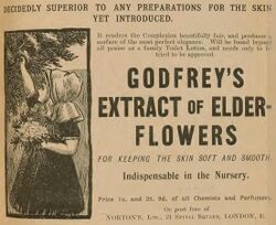 "Godfrey's Extract of Elder-Flowers" ad - Woman's Exhibition, 1900, Earl's Court, London, S.W. - official fine art, historical and general catalogue (IA gri 33125013839424) (page 7 crop).jpg