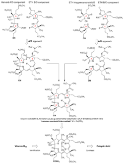 Approaches Cobyric Acid Synthesis.svg