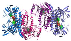 Argonne's Midwest Center for Structural Genomics deposits 1,000th protein structure.jpg