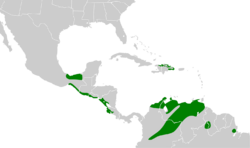 Burhinus bistriatus map.svg