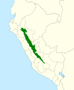 Cinnycerthia peruana map.svg