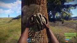 Collecting wood in Rust.jpeg