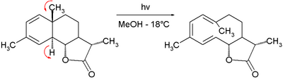 Electrocyclic reaction step in 1963 Corey synthesis of dihydrocostunolide