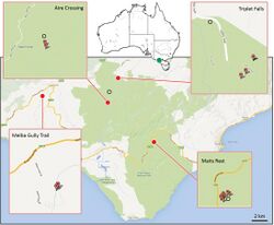 Distribution map of Progradungula otwayensis.jpg