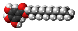 Space-filling model of the dodecyl gallate molecule