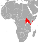 In Ethiopia, Kenya, Rwanda, Somalia, South Sudan, Tanzania, and Uganda