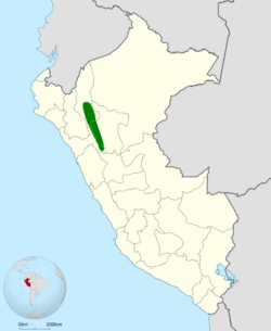 Grallaria przewalskii map.svg