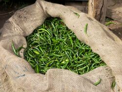 Green chillies.jpg